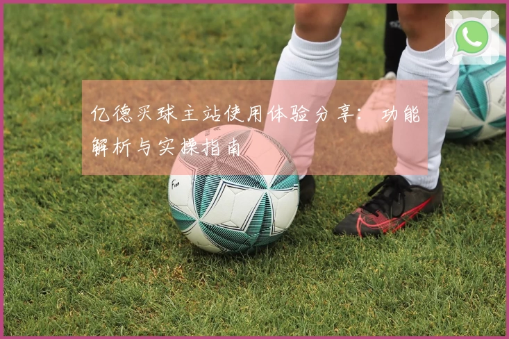 亿德买球主站使用体验分享：功能解析与实操指南