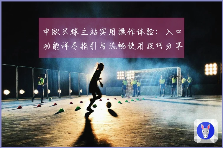 中欧买球主站实用操作体验：入口功能详尽指引与流畅使用技巧分享