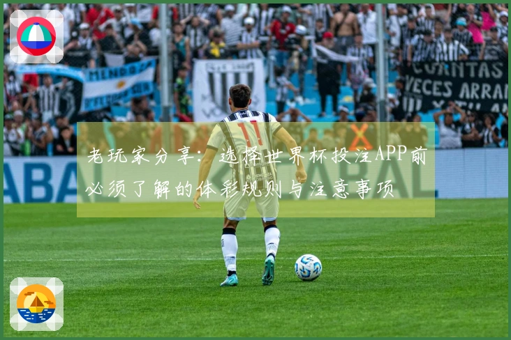 老玩家分享：选择世界杯投注APP前必须了解的体彩规则与注意事项