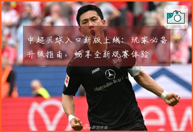 中超买球入口新版上线：玩家必备升级指南，畅享全新观赛体验