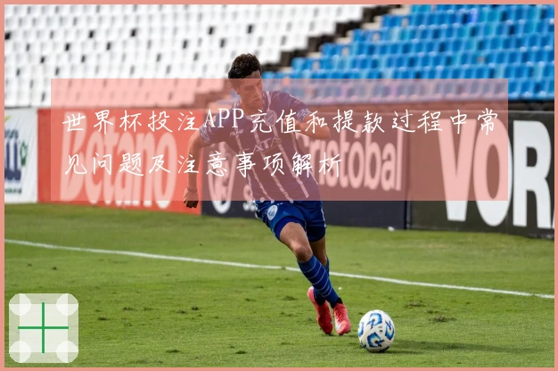 世界杯投注APP充值和提款过程中常见问题及注意事项解析