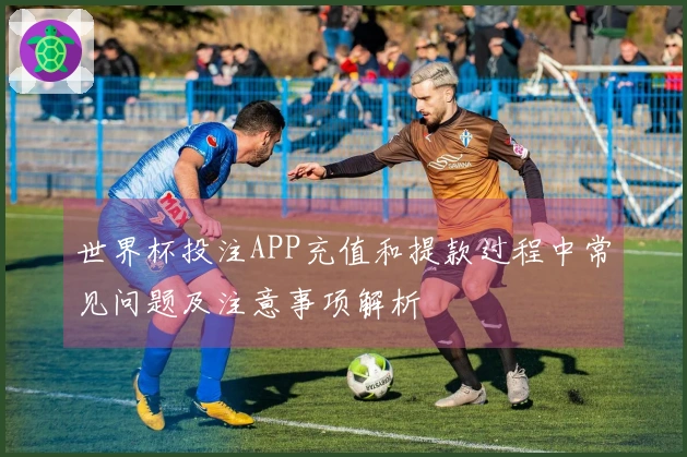 世界杯投注APP充值和提款过程中常见问题及注意事项解析