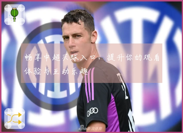畅享中超买球入口，提升你的观看体验与互动乐趣