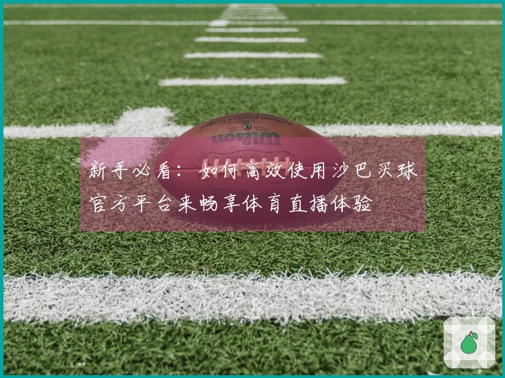 新手必看：如何高效使用沙巴买球官方平台来畅享体育直播体验