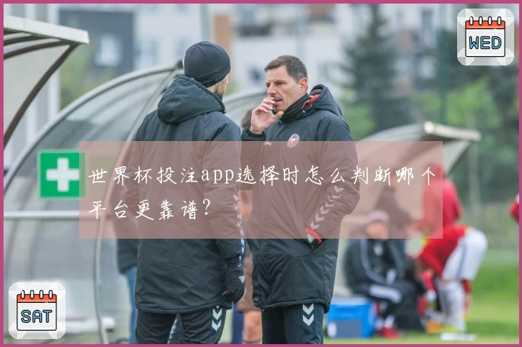 世界杯投注app选择时怎么判断哪个平台更靠谱？